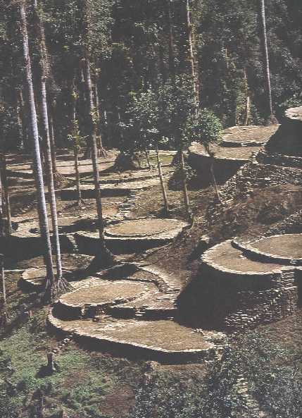 Ciudad Perdida 